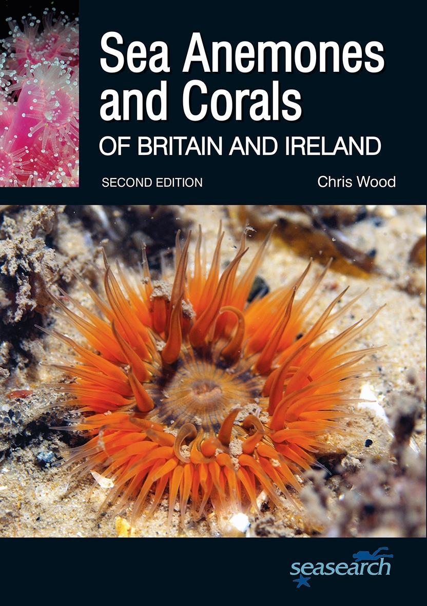 Cover: 9780957394636 | Sea Anemones and Corals of Britain and Ireland | Chris Wood | Buch