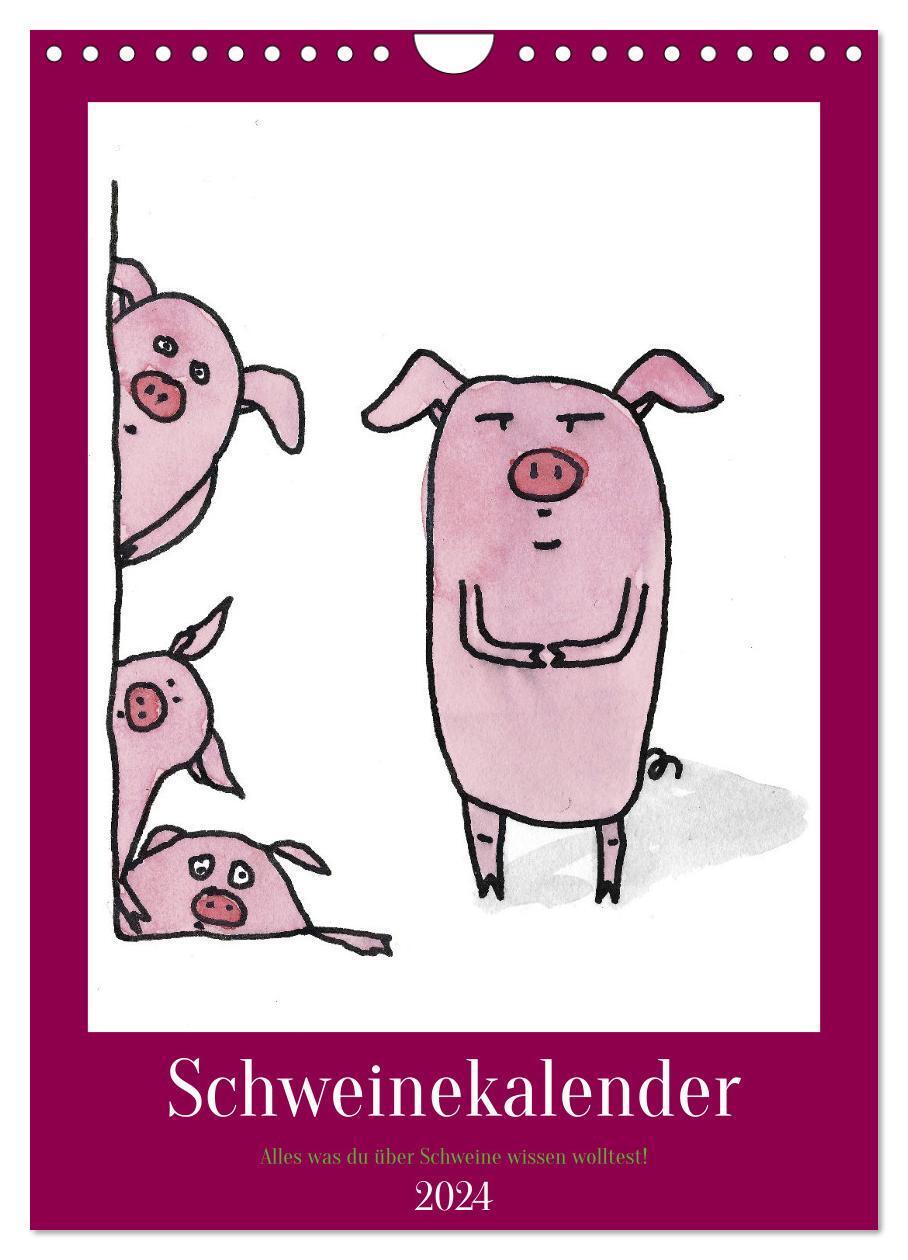 Cover: 9783675706491 | Schweinekalender - Alles was du über Schweine wissen wolltest!...