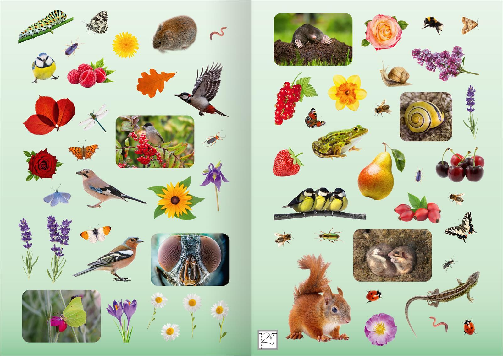 Bild: 4014489135135 | Naturforscher-Kids - Fotosticker Im Garten | Über 200 Sticker | 16 S.