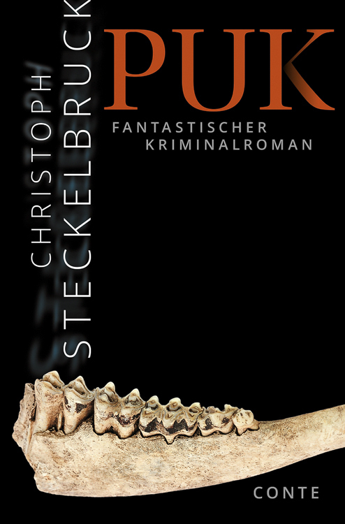 Cover: 9783956022128 | Puk | Fantastischer Kriminalroman | Christoph Steckelbruck | Buch