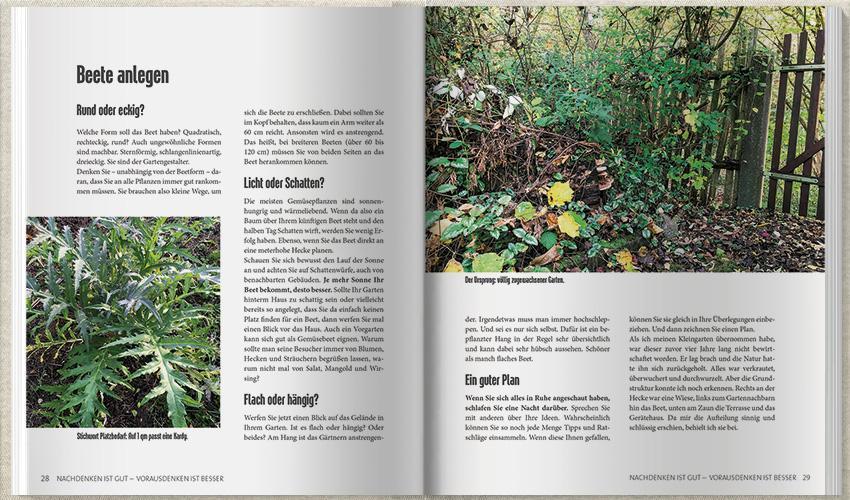Bild: 9783784357508 | MDR Garten - Heiß auf Gemüse | Martin Krumbein | Buch | 204 S. | 2023