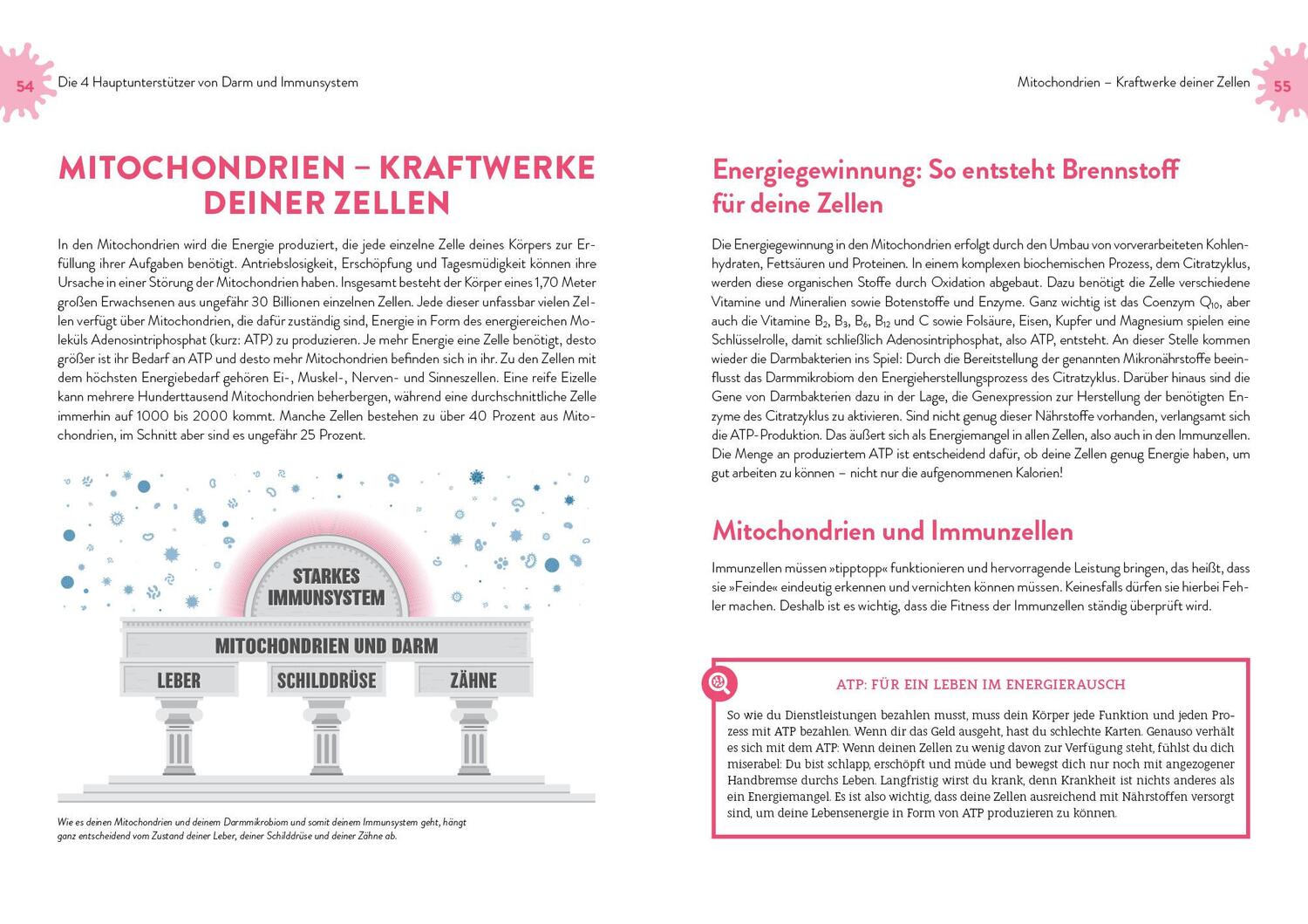 Bild: 9783742318312 | Immunpower | Friederike Feil | Taschenbuch | 4-farbig | 224 S. | 2021