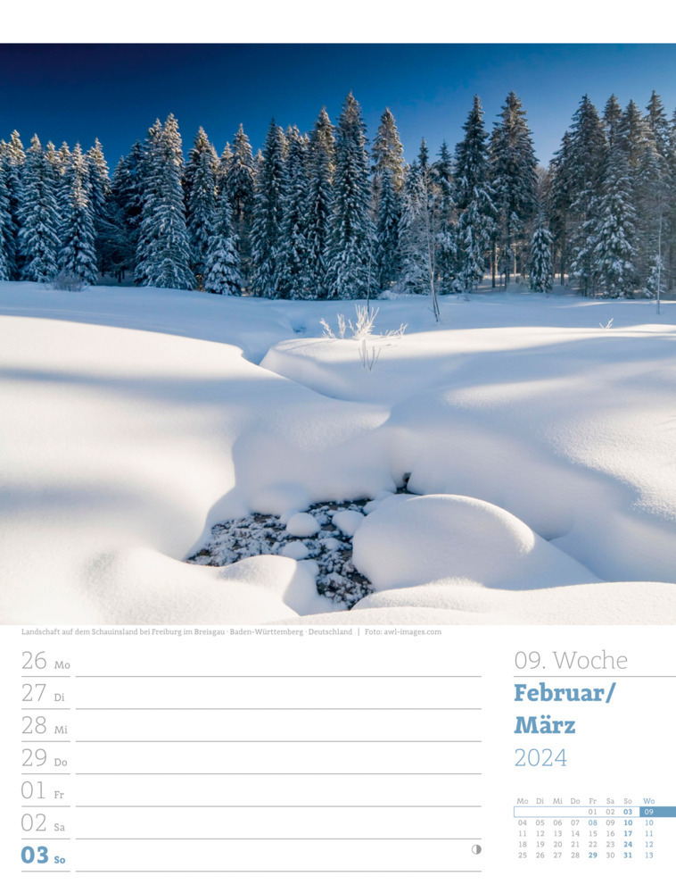 Bild: 9783838424972 | Unser Wald - Wochenplaner Kalender 2024 | Ackermann Kunstverlag | 2024