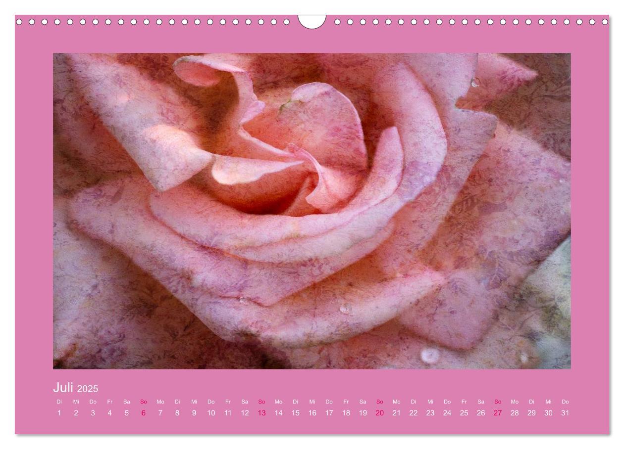 Bild: 9783435737130 | Romantische Rosen (Wandkalender 2025 DIN A3 quer), CALVENDO...