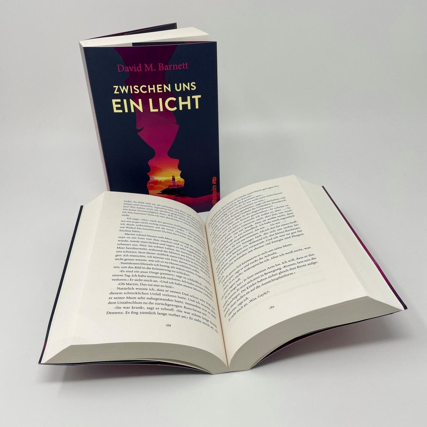 Bild: 9783864932663 | Zwischen uns ein Licht | David M. Barnett | Taschenbuch | 432 S.