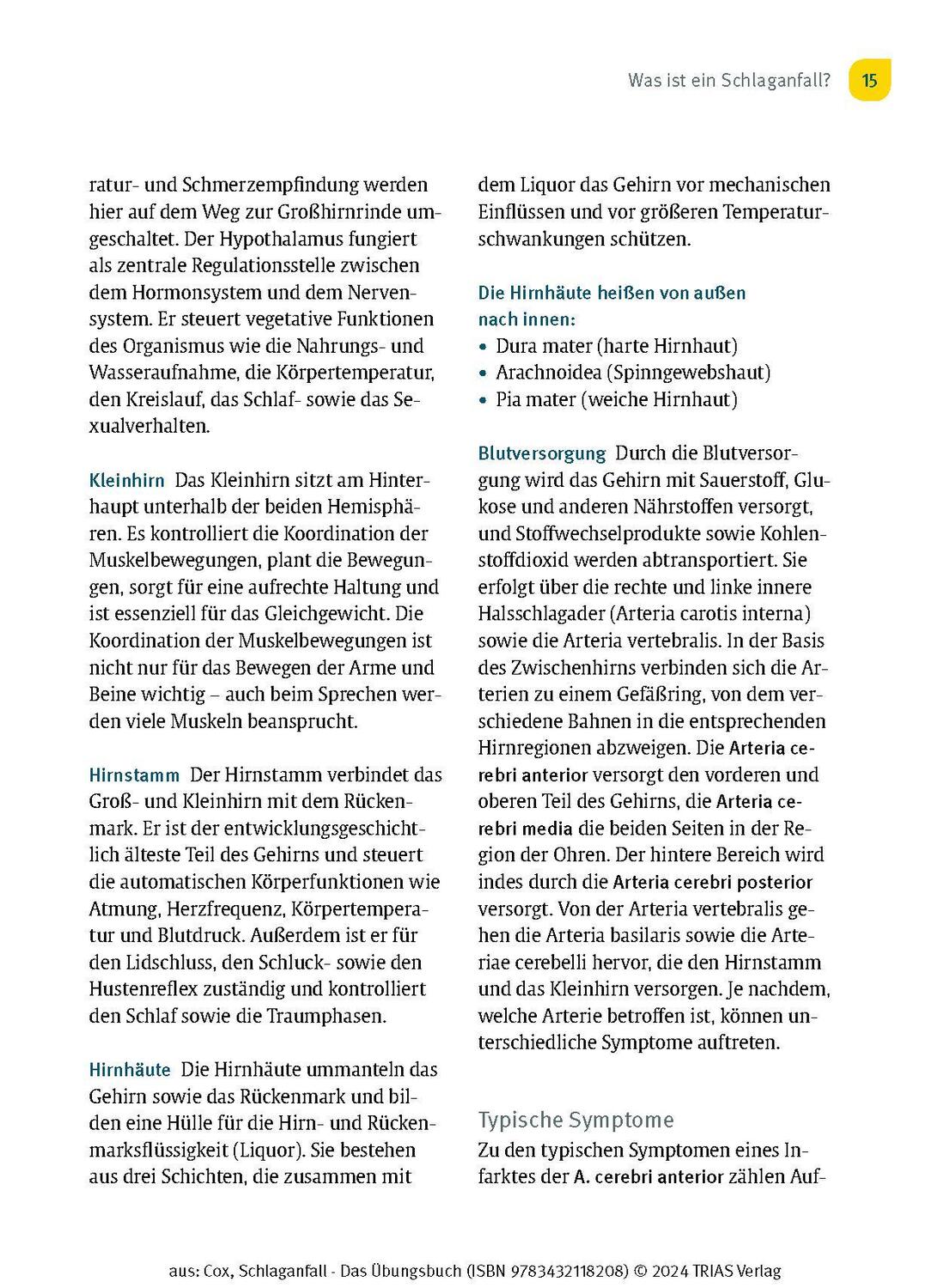 Bild: 9783432118208 | Schlaganfall - Das Übungsbuch | Cornelia Cox | Taschenbuch | 128 S.
