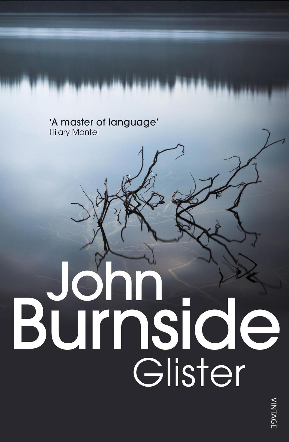 Cover: 9780099507840 | Glister | John Burnside | Taschenbuch | 257 S. | Englisch | 2009