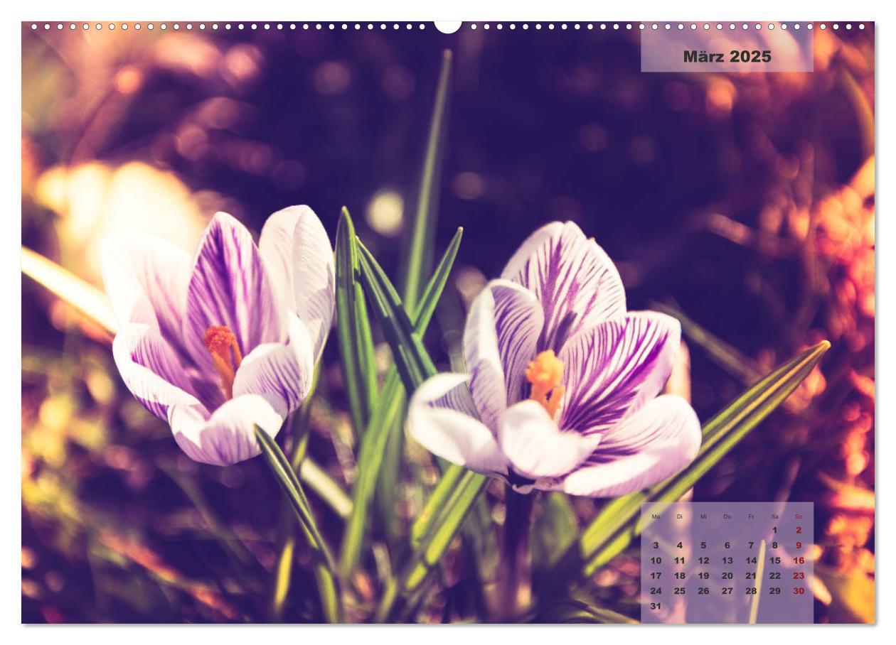 Bild: 9783435301829 | Blüten im Retro-Style (hochwertiger Premium Wandkalender 2025 DIN...