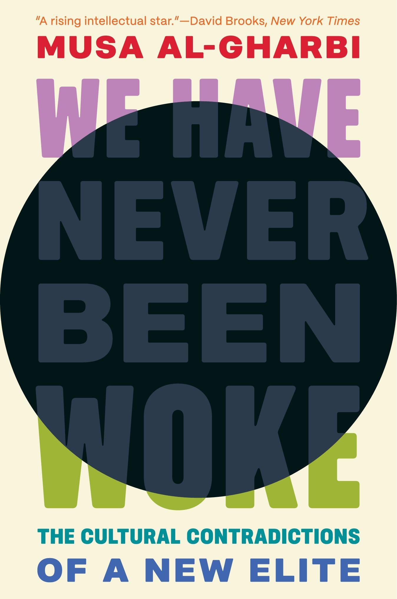 Cover: 9780691232607 | We Have Never Been Woke | The Cultural Contradictions of a New Elite