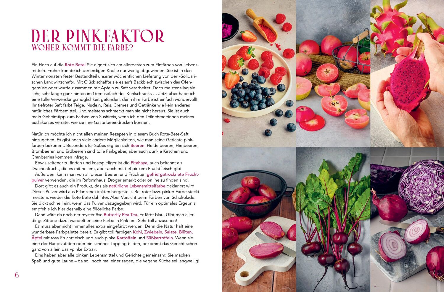 Bild: 9783830710769 | Pink vegan | Susanne Wernicke | Buch | 184 S. | Deutsch | 2024