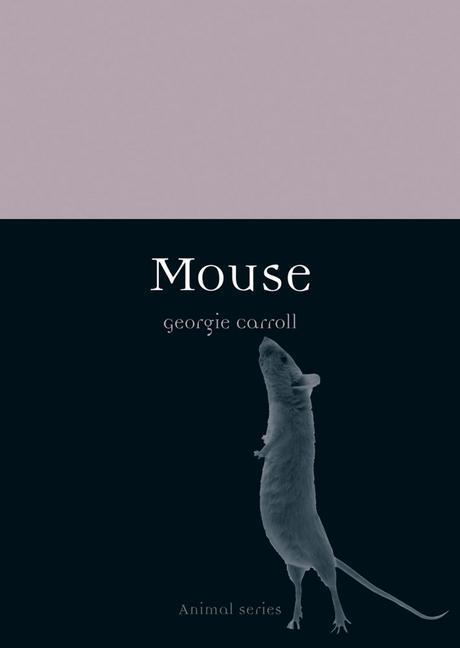 Cover: 9781780233390 | Mouse | Georgie Carroll | Taschenbuch | Kartoniert / Broschiert | 2014
