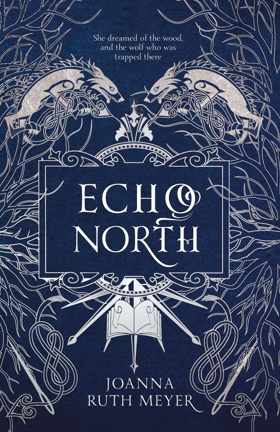 Cover: 9781782693550 | Echo North | Joanna Ruth Meyer | Taschenbuch | Englisch | 2022