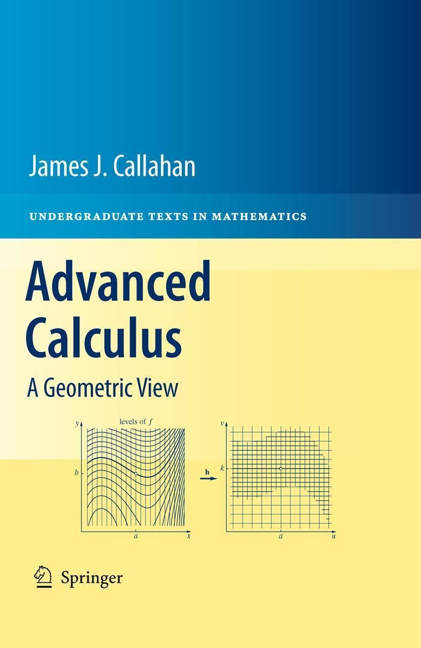 Cover: 9781441973313 | Advanced Calculus | A Geometric View | James J., Jr. Callahan | Buch