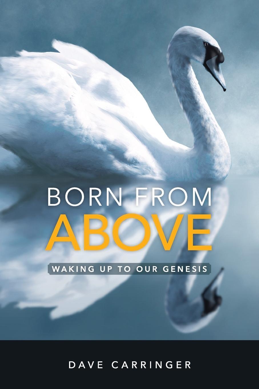 Cover: 9781734354607 | BORN FROM ABOVE | Waking Up to Our Genesis | Dave Carringer | Buch
