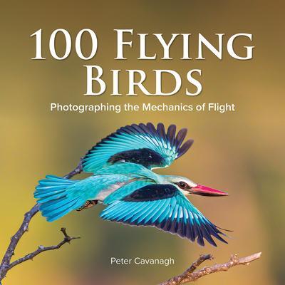 Cover: 9780228103332 | 100 FLYING BIRDS | PETER CAVANAGH | Buch | Gebunden | Englisch | 2021