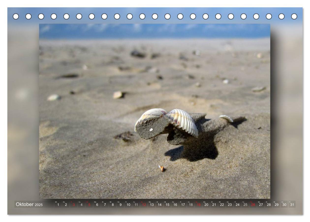 Bild: 9783435682546 | Baltrum - Ein Tag am Strand (Tischkalender 2025 DIN A5 quer),...