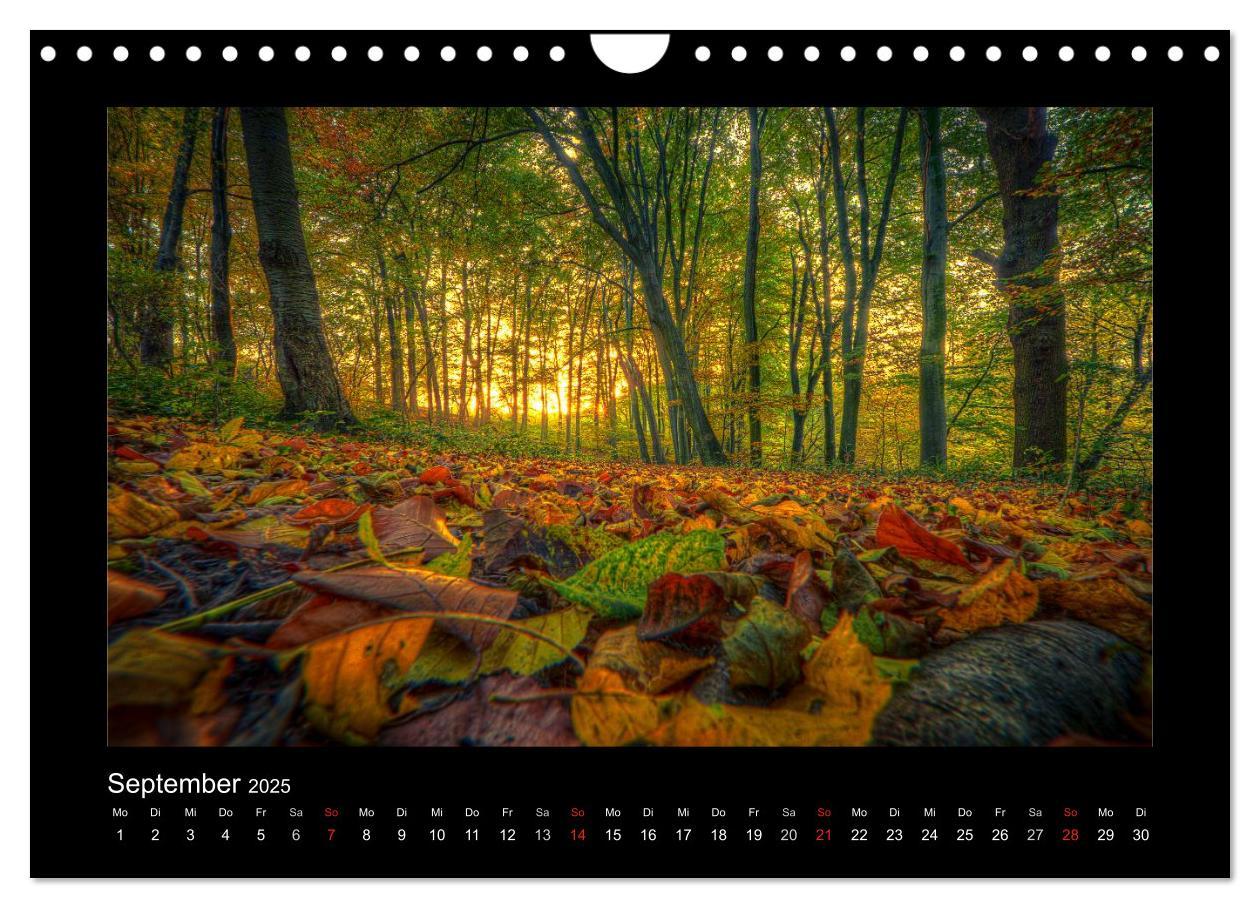 Bild: 9783435790135 | Landschaften im besonderen Licht (Wandkalender 2025 DIN A4 quer),...