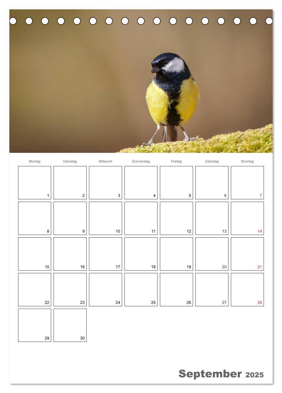 Bild: 9783457007730 | Vögel im heimischen Garten (Tischkalender 2025 DIN A5 hoch),...