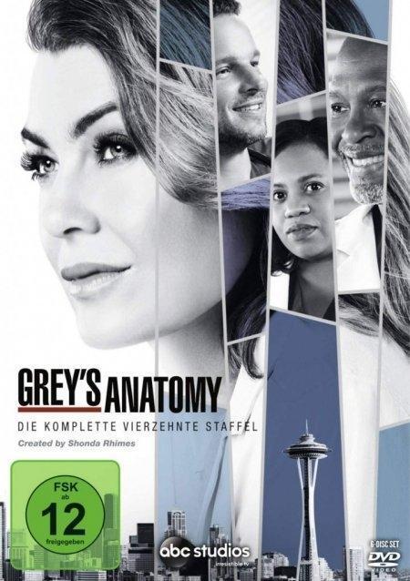 Cover: 8717418534738 | Greys Anatomy - Die jungen Ärzte | Season 14 | Shonda Rhimes (u. a.)