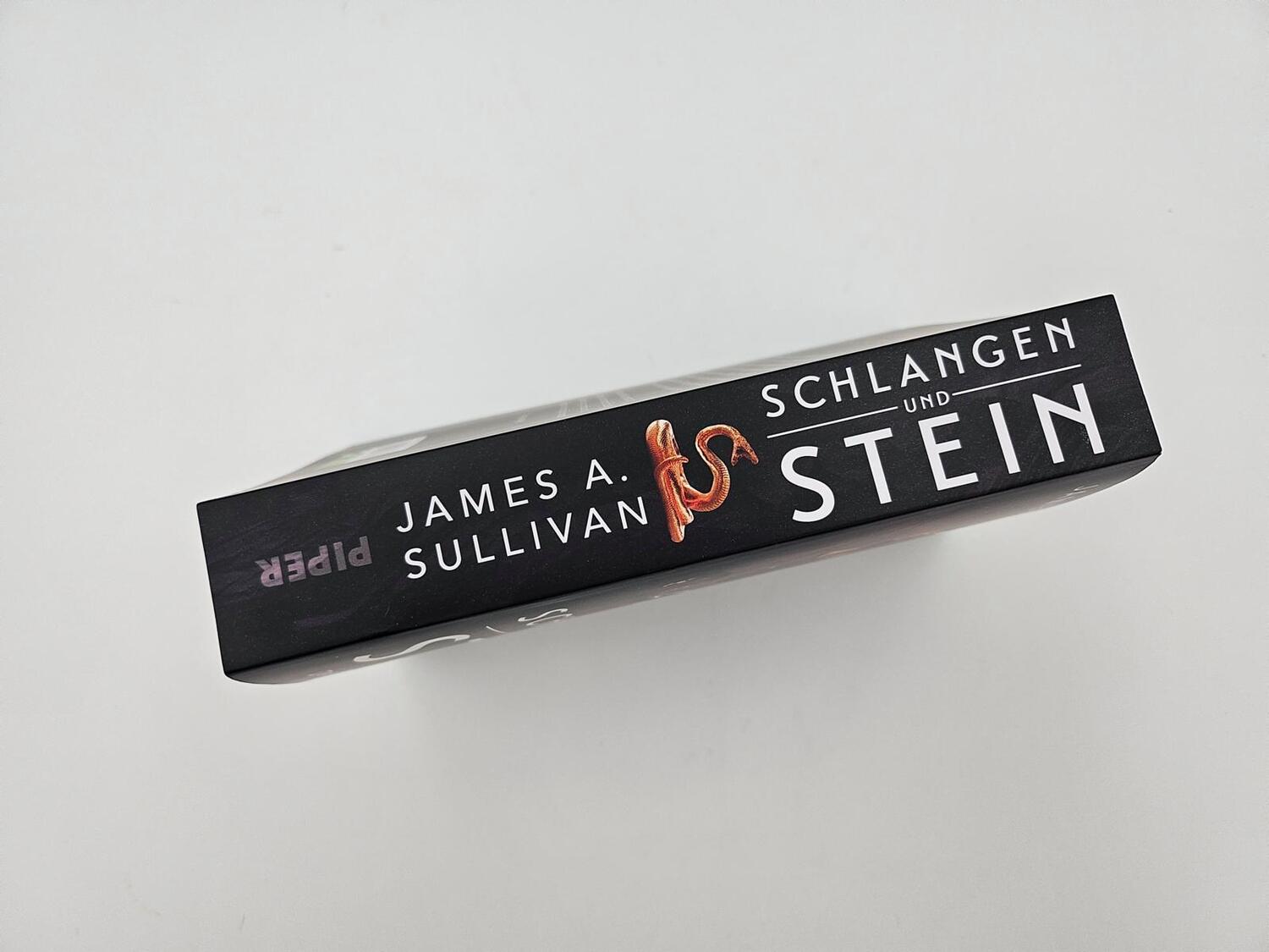 Bild: 9783492706735 | Schlangen und Stein | James A. Sullivan | Taschenbuch | 448 S. | 2024