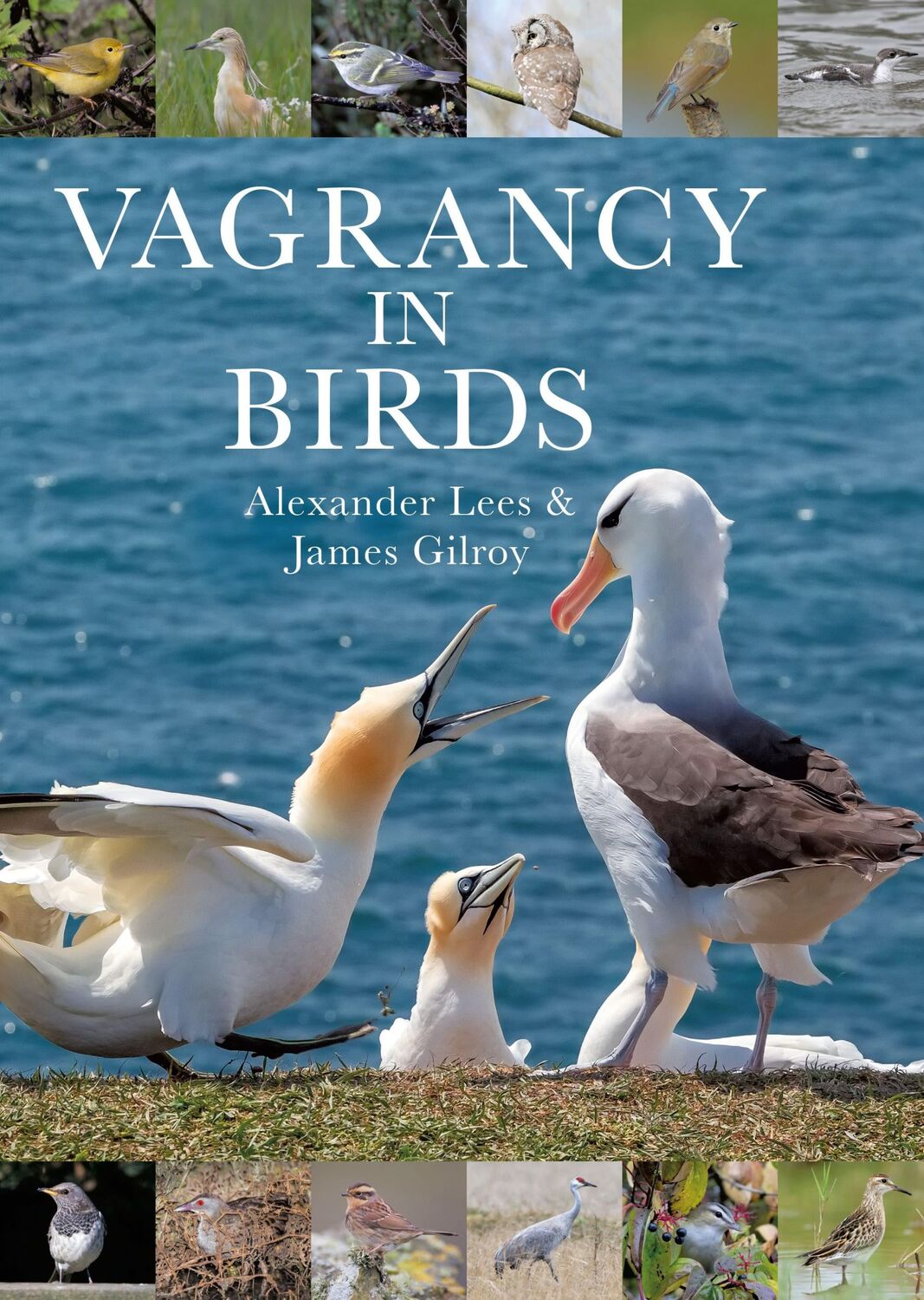 Cover: 9781472964786 | Vagrancy in Birds | Alexander Lees (u. a.) | Buch | Gebunden | 2021