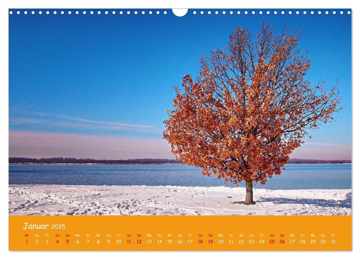 Bild: 9783383877865 | Mein Cospudener See (Wandkalender 2025 DIN A3 quer), CALVENDO...