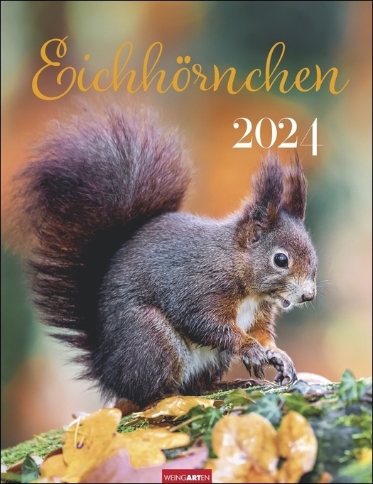 Cover: 9783840085642 | Eichhörnchen. Wandkalender 2024. Fotokalender mit süßen...
