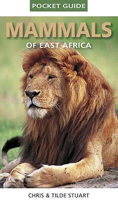 Cover: 9781770077065 | Pocket Guide to Mammals of East Africa | Chris Stuart | Taschenbuch