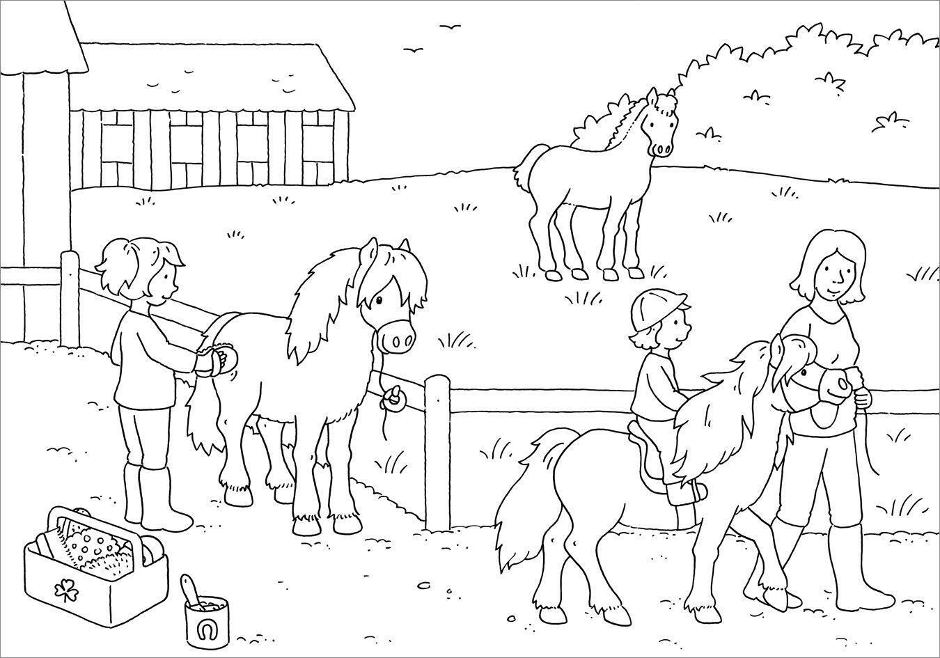 Bild: 9783788641832 | Mein schönstes Malbuch. Pferde und Ponys. Malen für Kinder ab 5 Jahren