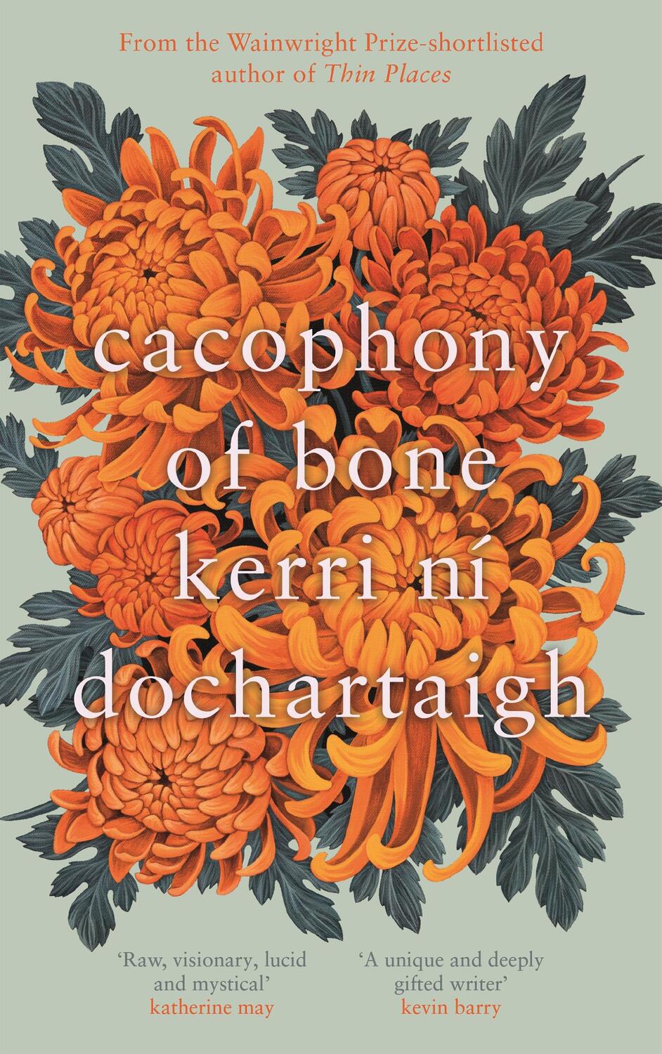 Cover: 9781838856281 | Cacophony of Bone | Kerri ni Dochartaigh | Buch | Gebunden | 2023