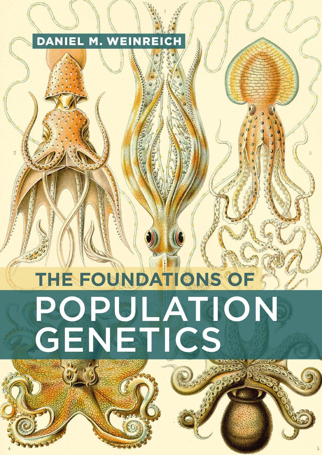 Cover: 9780262047579 | The Foundations of Population Genetics | Daniel M. Weinreich | Buch
