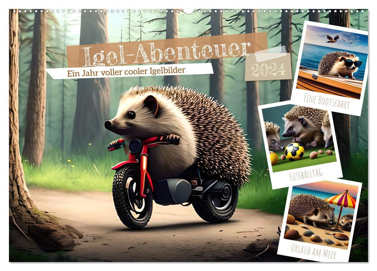 Cover: 9783675620537 | Igel-Abenteuer (Wandkalender 2024 DIN A2 quer), CALVENDO...