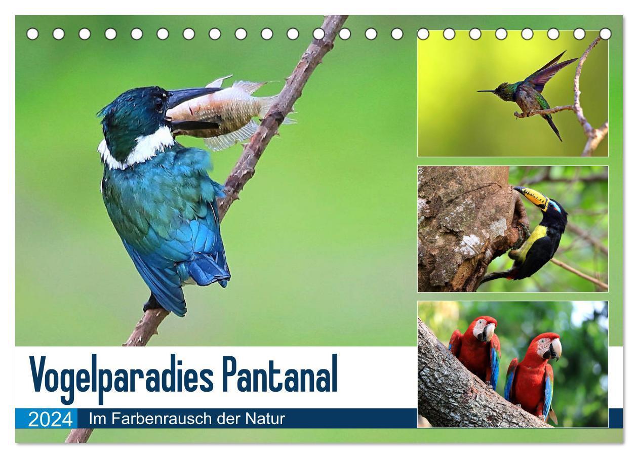 Cover: 9783383035326 | Vogelparadies Pantanal (Tischkalender 2024 DIN A5 quer), CALVENDO...