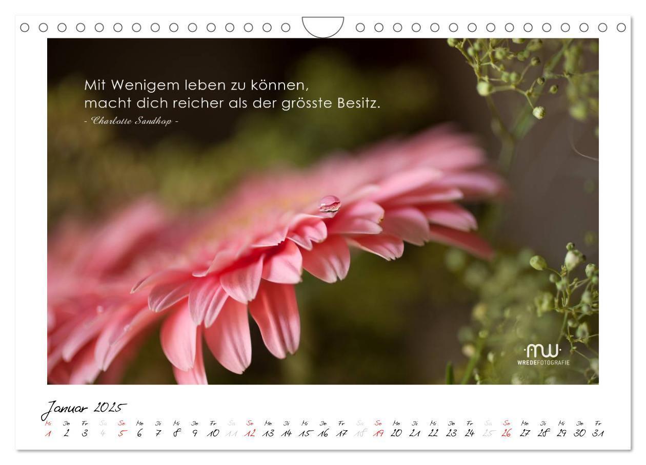 Bild: 9783435658527 | Gedanken... Bildkalender mit Sprüchen (Wandkalender 2025 DIN A4...