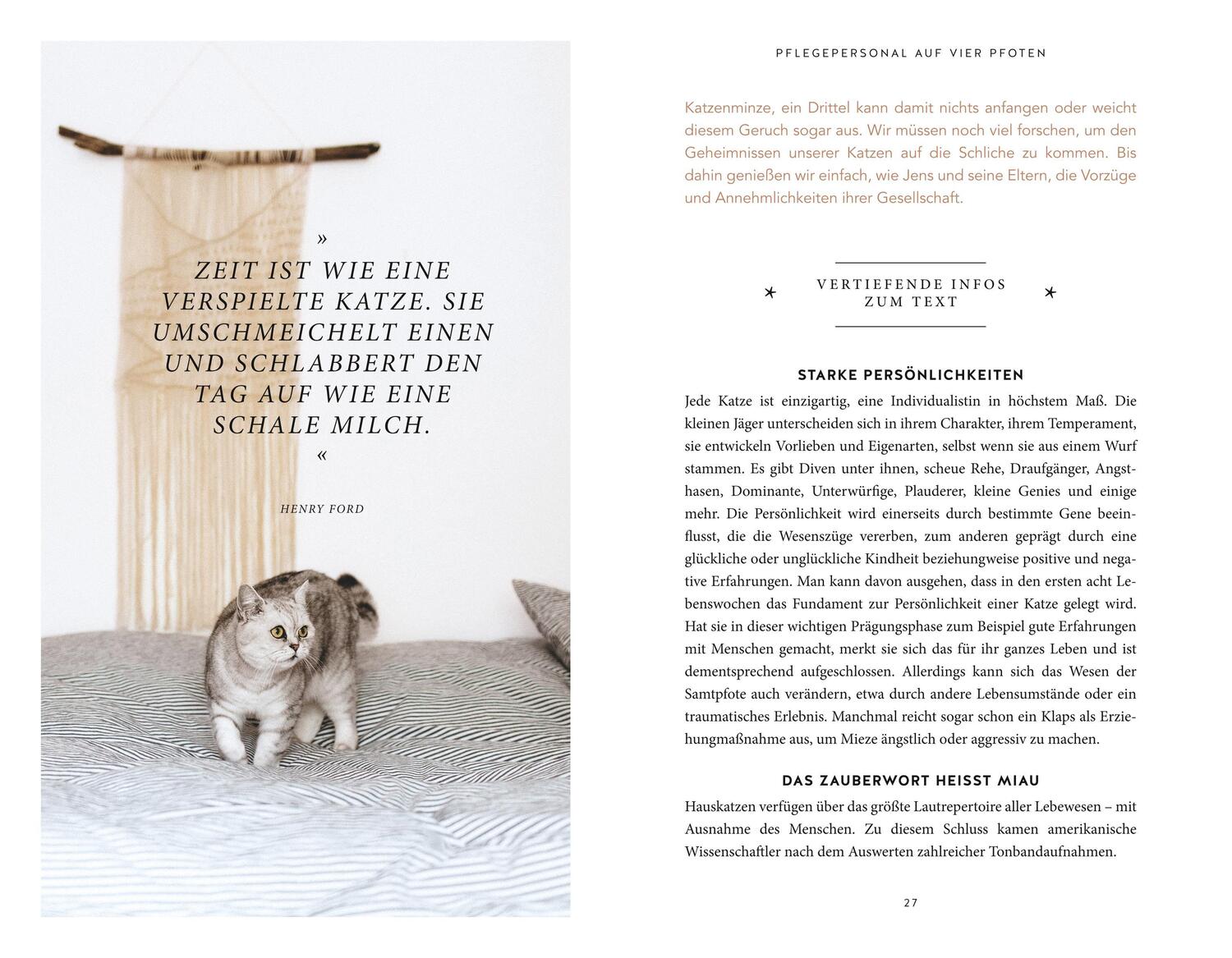Bild: 9783833871252 | Die unglaublichen Fähigkeiten der Katze | Gabriele Linke-Grün | Buch
