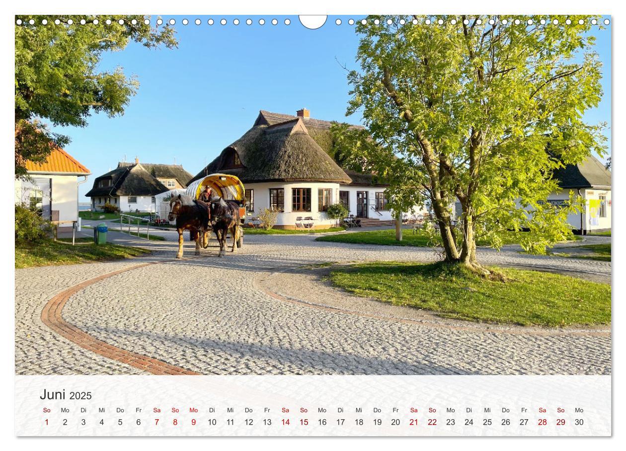 Bild: 9783435000401 | Natürliches Rügen und Hiddensee (Wandkalender 2025 DIN A3 quer),...