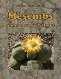 Cover: 9783837017243 | Mesembs - mehr als nur Lithops | Achim Hecktheuer | Taschenbuch | 2008