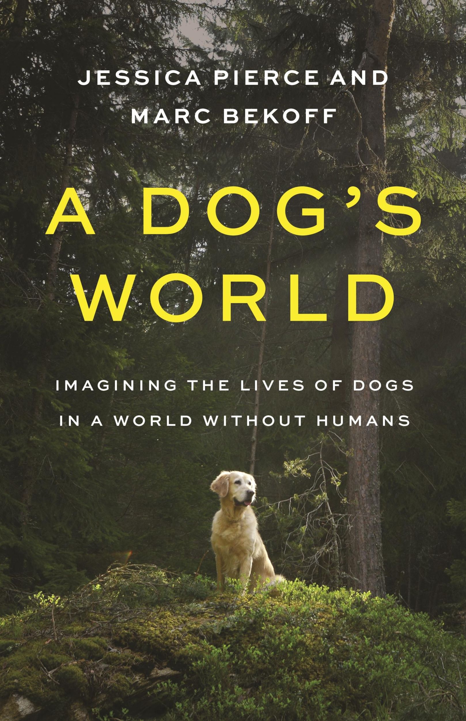 Cover: 9780691247748 | A Dog's World | Imagining the Lives of Dogs in a World Without Humans