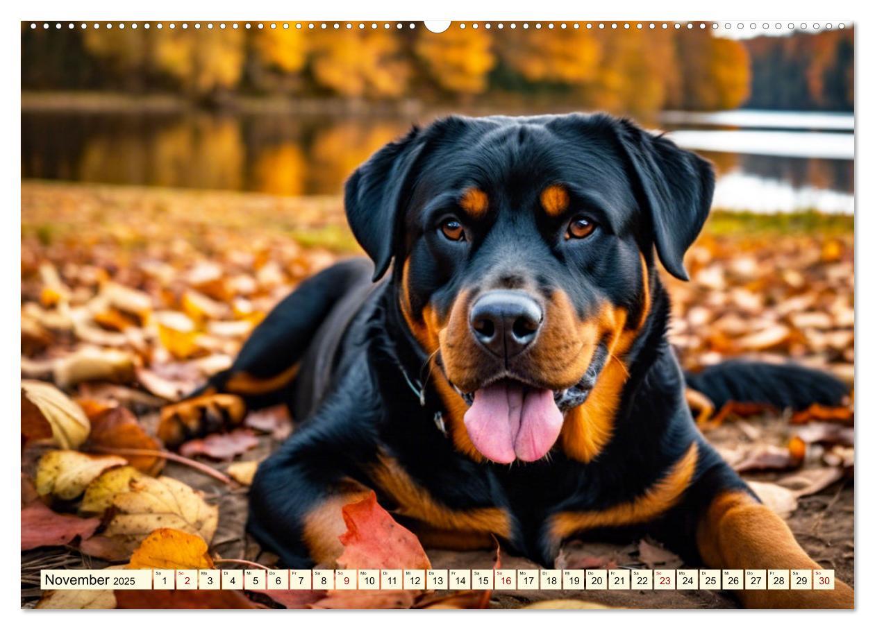 Bild: 9783457128886 | Rottweiler - die Beschützer (Wandkalender 2025 DIN A2 quer),...