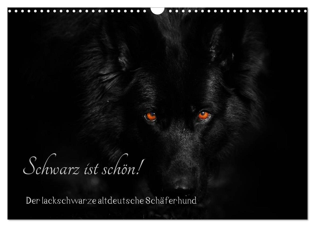 Cover: 9783435572908 | Schwarz ist schön! Der lackschwarze altdeutsche Schäferhund...