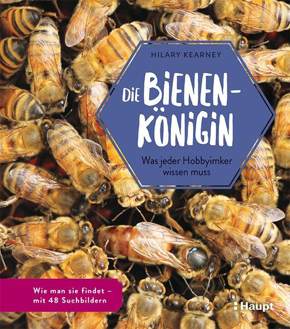 Cover: 9783258081717 | Die Bienenkönigin | Was jeder Hobbyimker wissen muss | Hilary Kearney