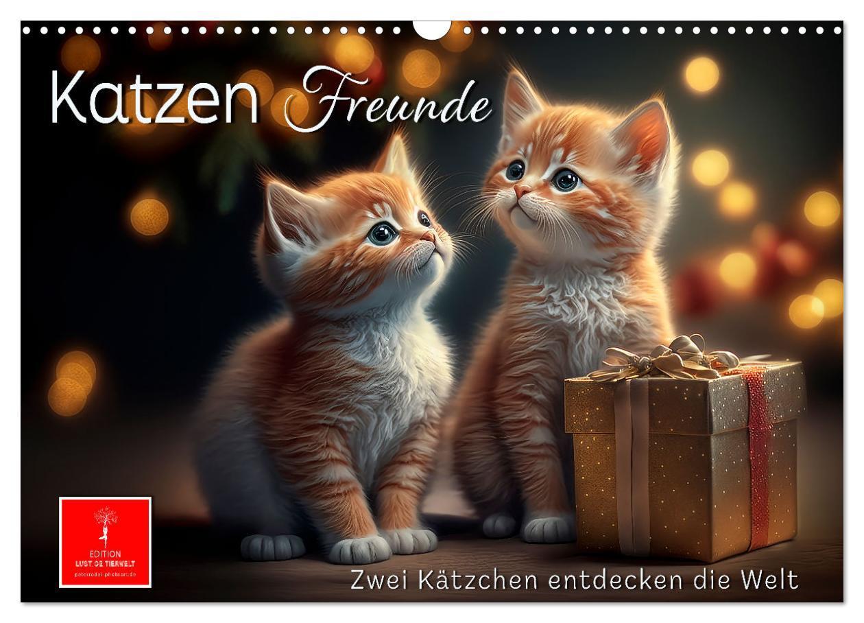 Cover: 9783675413672 | Katzen Freunde (Wandkalender 2024 DIN A3 quer), CALVENDO...