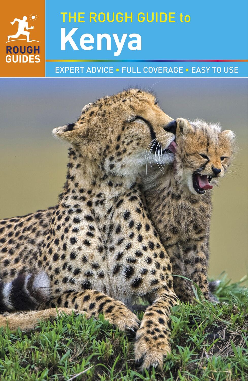 Cover: 9780241241486 | The Rough Guide to Kenya | Richard Trillo | Taschenbuch | Englisch