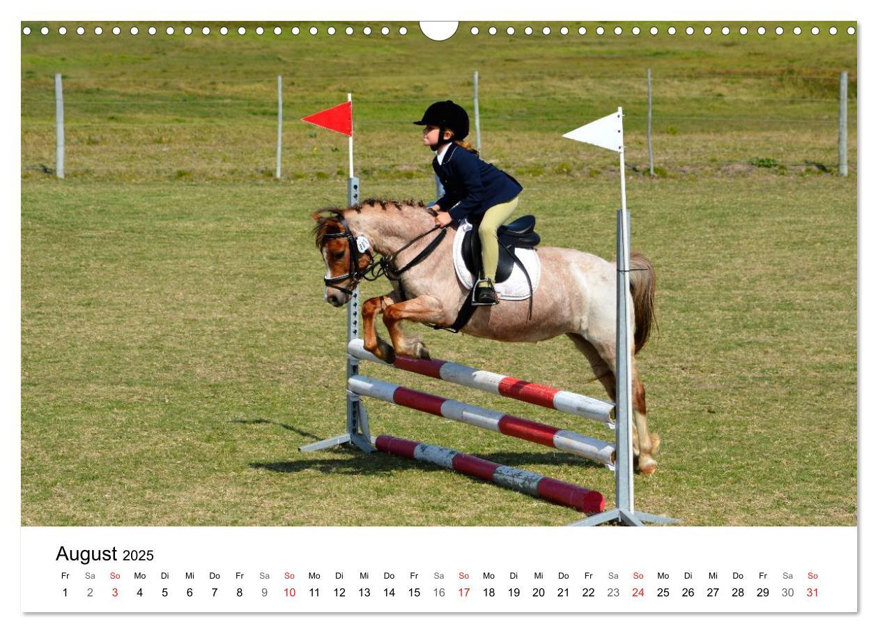 Bild: 9783435618057 | Vielseitigkeitsreiten (Wandkalender 2025 DIN A3 quer), CALVENDO...