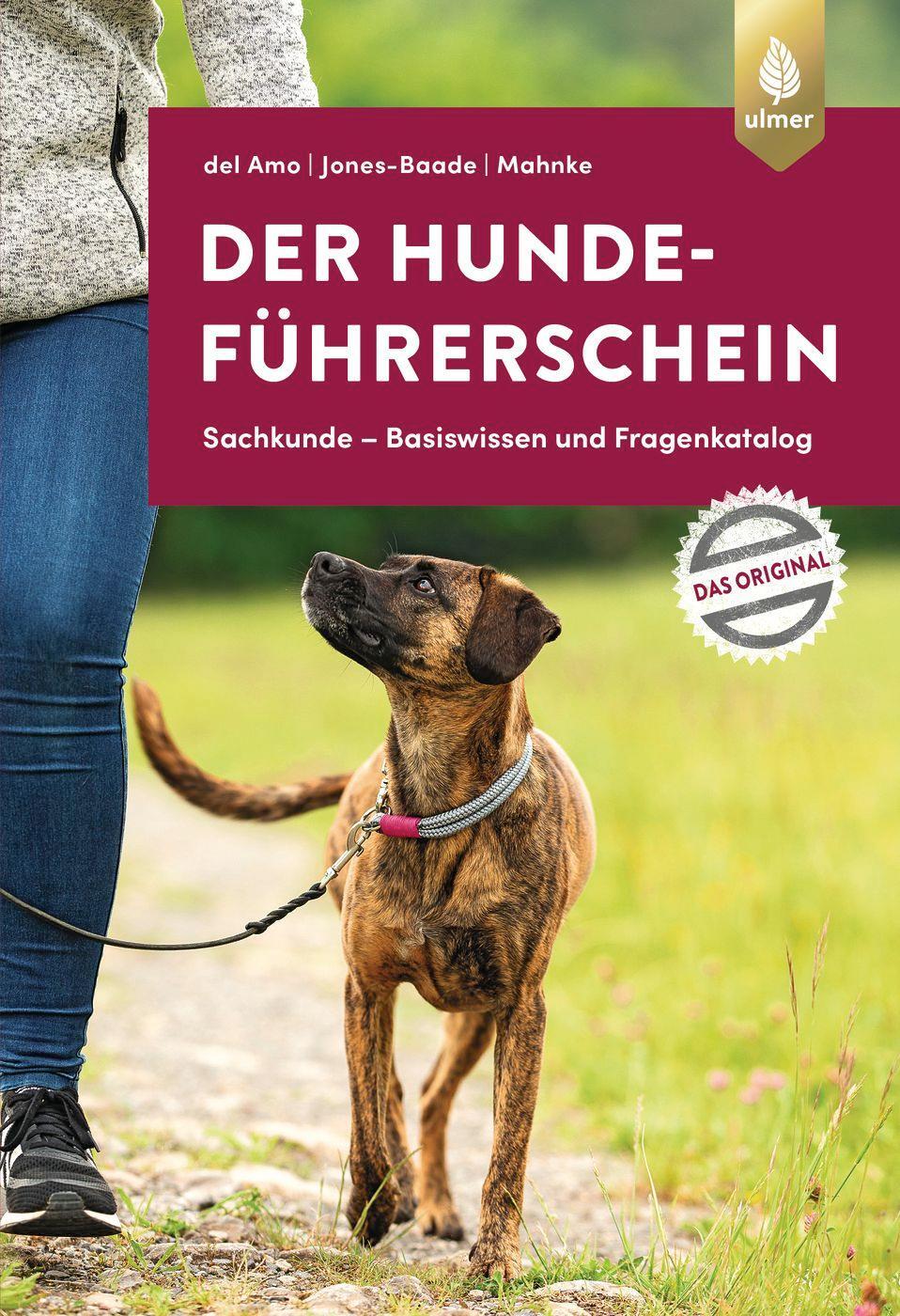 Cover: 9783818615093 | Der Hundeführerschein | Celina del Amo (u. a.) | Taschenbuch | Deutsch