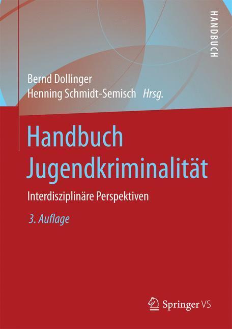 Cover: 9783531199528 | Handbuch Jugendkriminalität | Interdisziplinäre Perspektiven | Buch