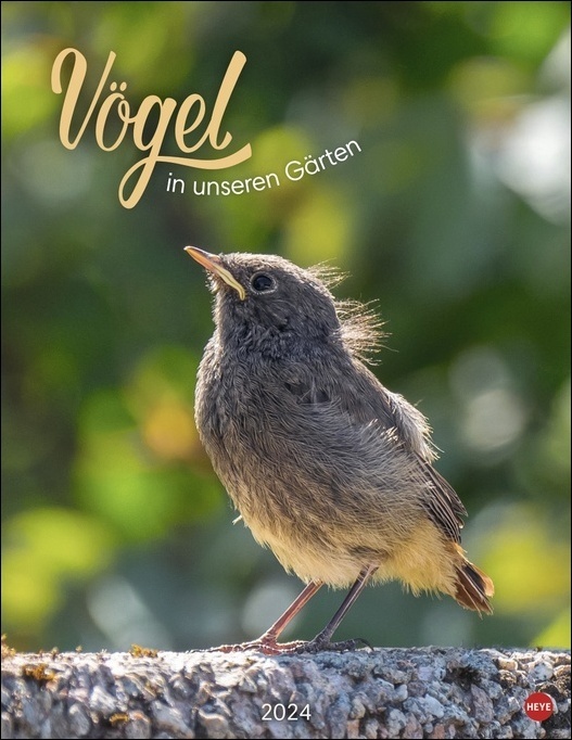 Cover: 9783756402731 | Vögel in unseren Gärten Posterkalender 2024. Viele Fotos und...
