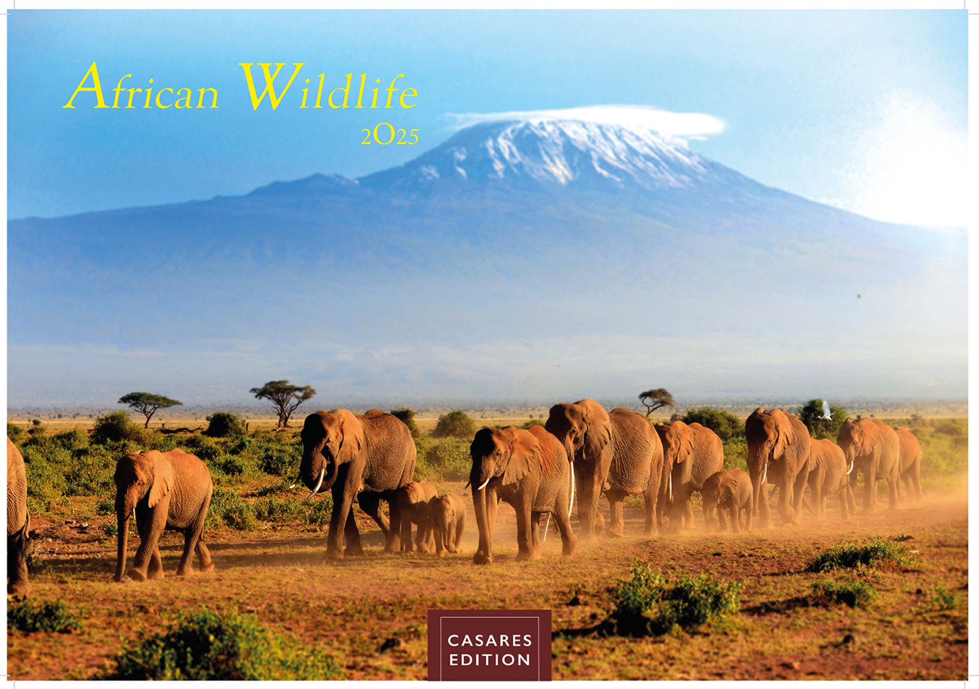 Cover: 9781835240519 | African Wildlife 2025 S 24x35 cm | Kalender | 14 S. | Deutsch | 2025