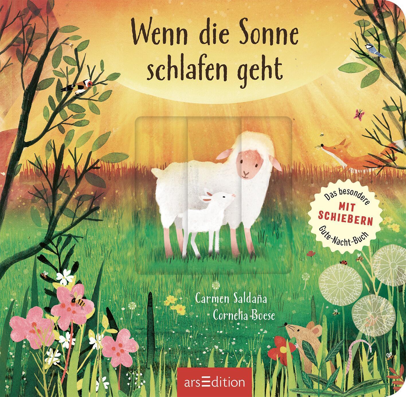 Bild: 9783845855547 | Wenn die Sonne schlafen geht | Cornelia Boese | Buch | 14 S. | Deutsch