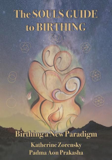 Cover: 9780578315386 | The Souls Guide to Birthing: Birthing a New Paradigm | Taschenbuch